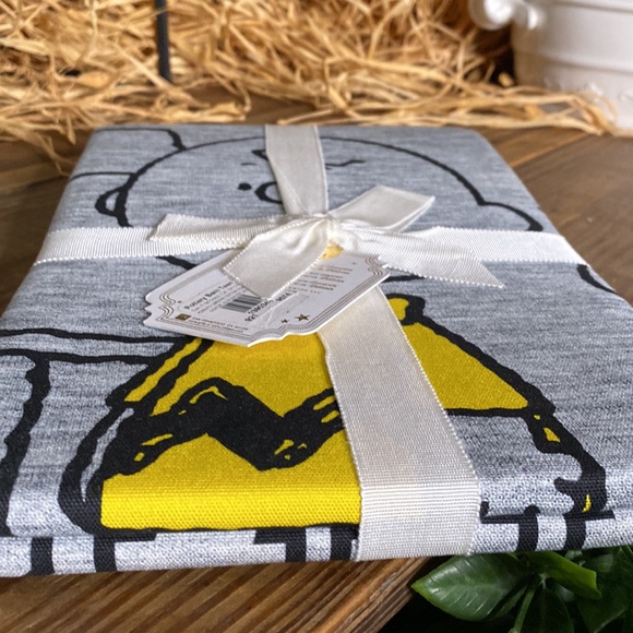 Pottery Barn Teen Peanuts Charlie Brown and Gang “Squad” Cotton Wall Tapestry - Picture 9 of 13